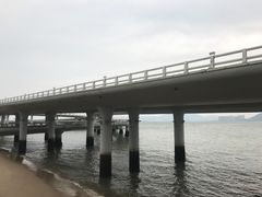 -演武大桥观景平台