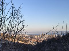 -府君山公园