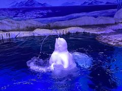 -海合安武汉极地海洋公园