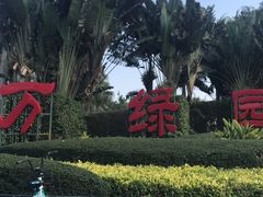 -万绿园