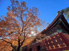 -香山公园