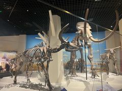 -国家自然博物馆