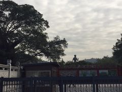 -李小龙乐园(顺德均安店)