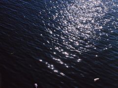 -杨家寨