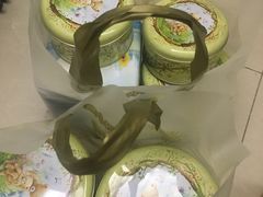 -珍妮曲奇聪明小熊(尖沙咀店)