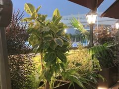 -盐说·西式餐酒馆(光明万达店)