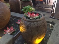 -龙泉人椰子鸡.糟粕醋.海南菜(三亚旗舰店)