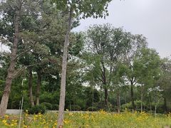 -绿堤公园