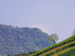 -黄山太平湖风景区