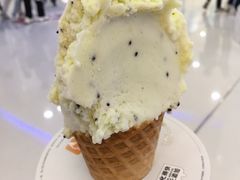 -野人先生Gelato(上海长宁龙之梦店)