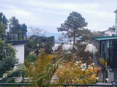 -云禾壹海景庄园餐厅
