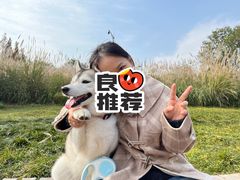 -桤木河湿地公园