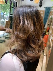 -渼树MSUTREE连锁沙龙