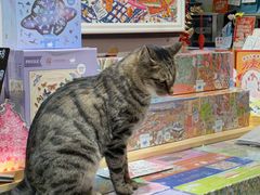 -猫的天空之城概念书店(丽江古城饮玉巷店)