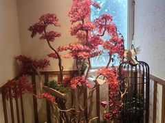 -鸽子窝(青塔店)