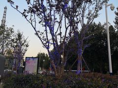 -逗号立方