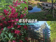 -沈阳市东陵公园