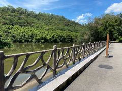 -滴水岩森林公园