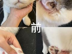 -听TA说宠咖·宠物生活馆(天韵水岸店)