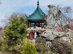 -无锡梅园公园