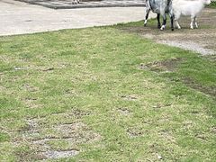 -龙岩森林水乡景区