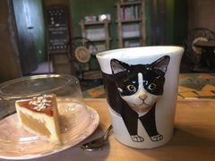 -猫猫幼稚园·撸猫·桌游·电玩