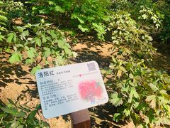 -仁和公园(顺义区)