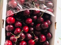 -江杨农产品批发市场