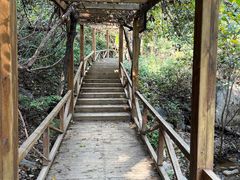 -大岭沟猕猴桃谷风景区