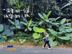 -海南热带雨林国家公园吊罗山景区
