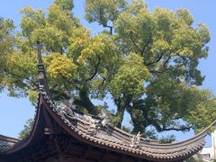 -台州府城(东湖)