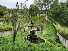 -中国大熊猫保护研究中心雅安碧峰峡基地