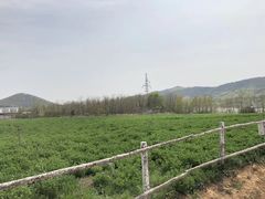 -大连铭湖国际观光牧场