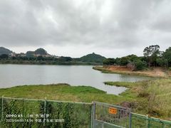 -立新湖公园