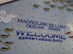 -芜湖新华联大白鲸海洋公园