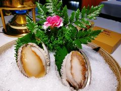 -鲐赏河豚(长寿店)
