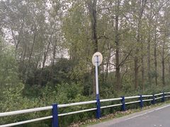 -合肥滨湖国家森林公园