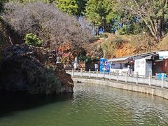 -南诏风情岛