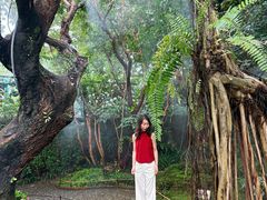 -Chom Cafe and Restaurant