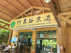 -野象谷景区