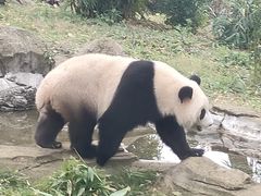 -武汉动物园