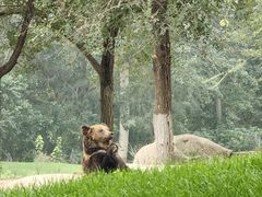 -北京野生动物园