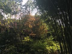 -汇龙潭