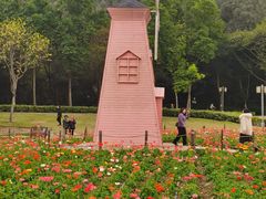 -顺峰山公园