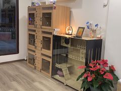 -萌小它宠物健康管理中心(怡海家园店)