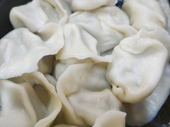 -禧旺鲜饺现包饺子(太阳城店)