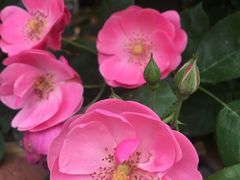-芭菲盛宴·环球美食(锦城万达广场店)