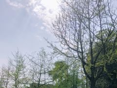 -四川大学(华西校区)