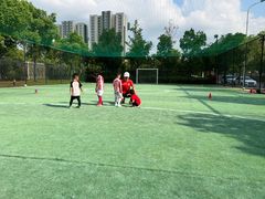 -小赛虎少儿足球培训(南翔校区)