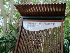 -碧水湾温泉